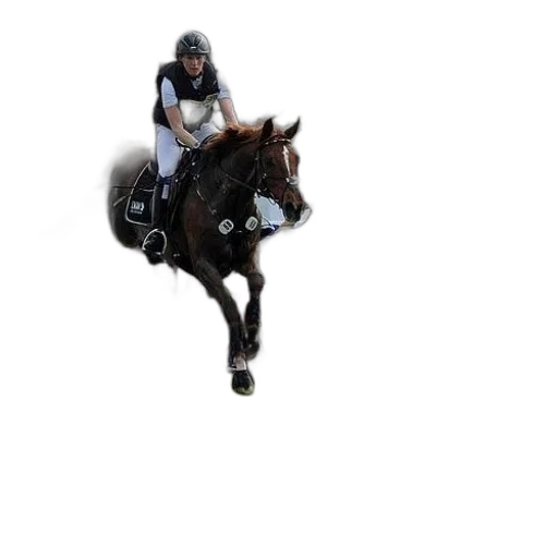 animal, pixel art, photorealistic, 3d render, horse, rider, jump, over transparent PNG cut-out