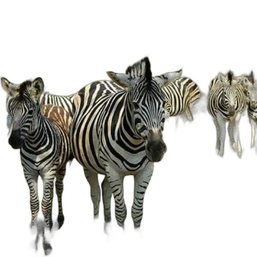 animal, creature, jewelry, 3d render, concept art, photorealistic, fantasy art, group transparent PNG cut-out