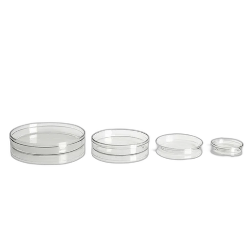 jewelry, crown, set, clear, plastic, petri, dishes, various transparent PNG cut-out