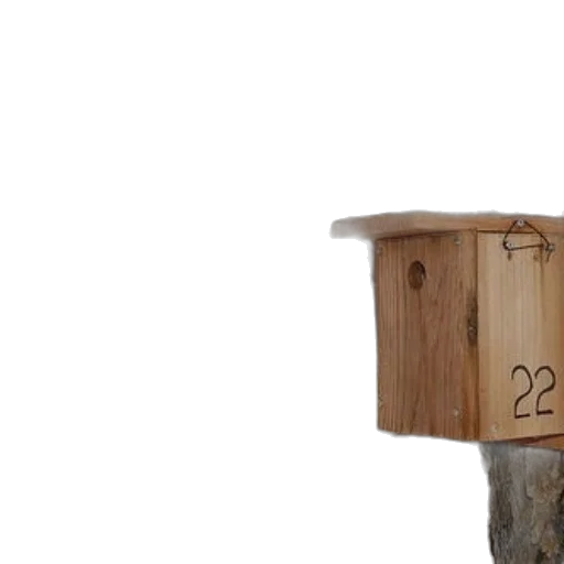 furniture, tree, robot, bottle, 3d render, wooden, birdhouse, number transparent PNG cut-out