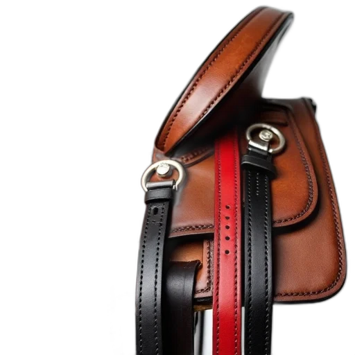 jewelry, staff, close-up, brown, leather, saddle, silver, buckle transparent PNG cut-out