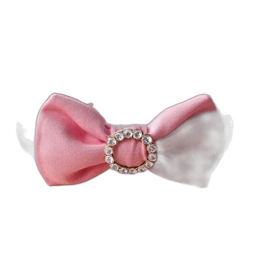 jewelry, crown, pink, elastic, headband, rhine, ring, buckle transparent PNG cut-out