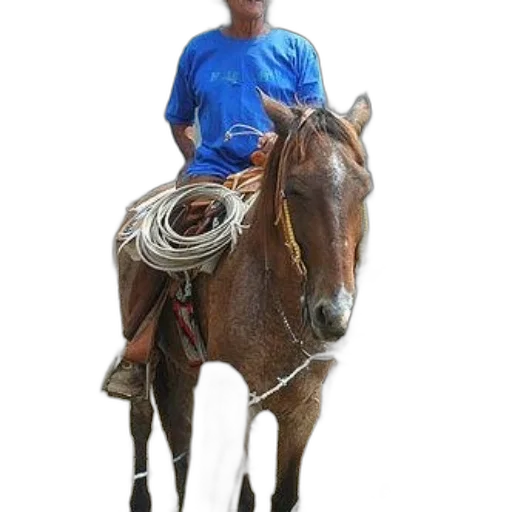 staff, animal, hat, mask, photorealistic, oil painting, 3d render, pencil sketch transparent PNG cut-out