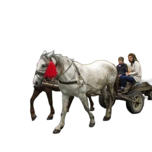 car, concept art, photorealistic, white, horse, pulls, cart, red transparent PNG cut-out