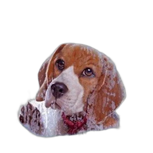 animal, hat, face, staff, photorealistic, oil painting, 3d render, pixel art transparent PNG cut-out