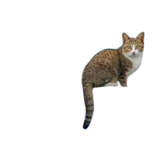 animal, creature, staff, weapon, 3d render, pixel art, photorealistic, concept art transparent PNG cut-out
