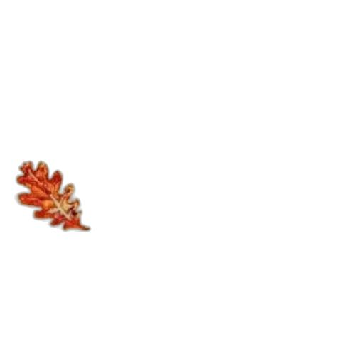 crown, jewelry, flower, hat, pixel art, 3d render, red, book transparent PNG cut-out