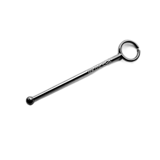 staff, weapon, sword, jewelry, close-up, image, metal, rod transparent PNG cut-out