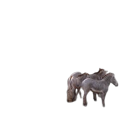 animal, creature, furniture, dragon, 3d render, photorealistic, concept art, pixel art transparent PNG cut-out