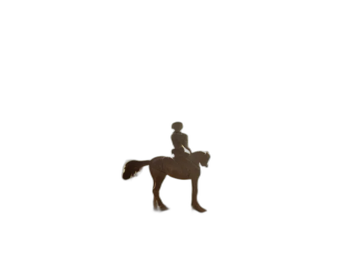 animal, hat, crown, staff transparent PNG cut-out