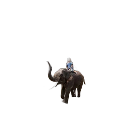 animal, creature, robot, staff, concept art, pixel art, 3d render, photorealistic transparent PNG cut-out