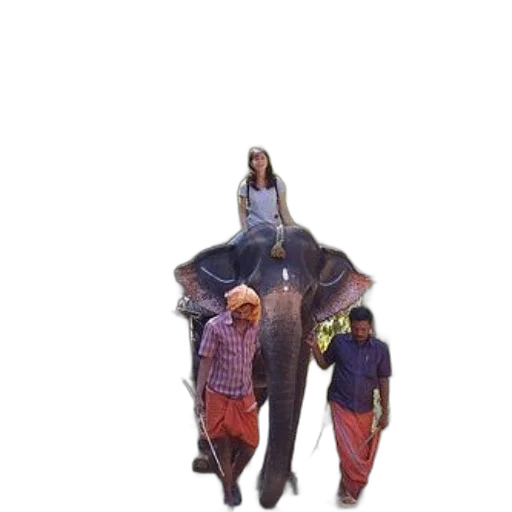 jacket, umbrella, creature, staff, concept art, 3d render, outer space, person transparent PNG cut-out