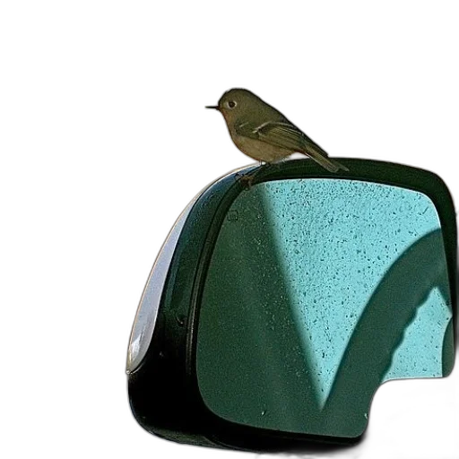 hat, car, shoes, furniture, 3d render, photorealistic, green, small transparent PNG cut-out