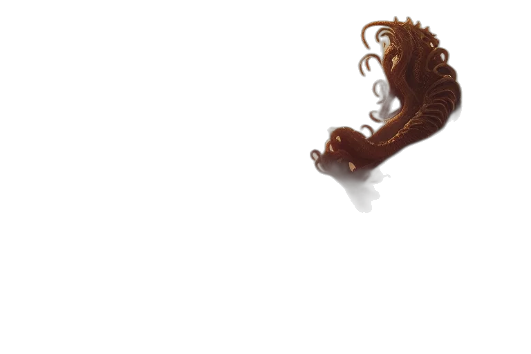 hair, creature, staff, crown transparent PNG cut-out