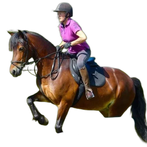 animal, staff, photorealistic, woman, purple, shirt, riding, brown transparent PNG cut-out