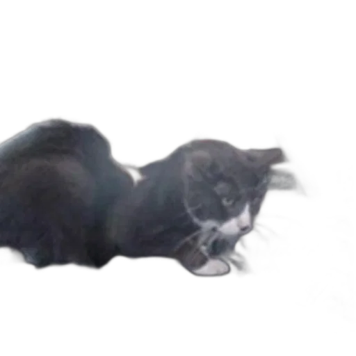 creature, animal, staff, dragon, photorealistic, 3d render, black, white transparent PNG cut-out
