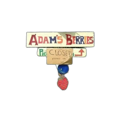 3d render, pixel art, cartoon, concept art, sign, adam, berries, birdhouse transparent PNG cut-out