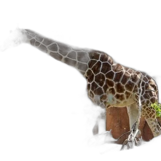 animal, creature, dragon, staff, 3d render, concept art, photorealistic, giraffe transparent PNG cut-out