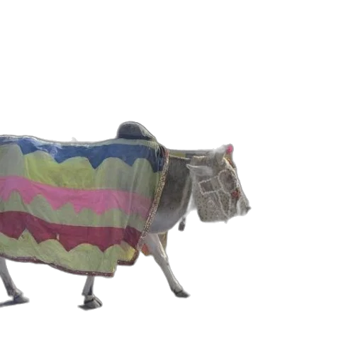 animal, umbrella, jacket, car transparent PNG cut-out