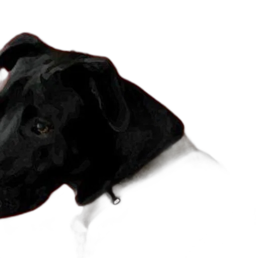 animal, staff, hat, creature, photorealistic, 3d render, black, dog transparent PNG cut-out