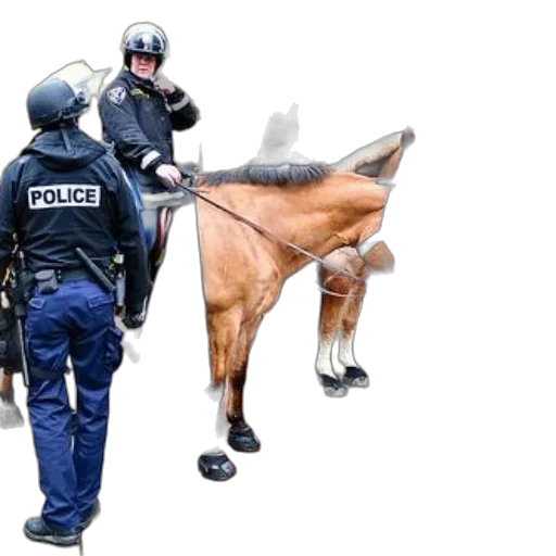 animal, weapon, staff, shoes, concept art, police, officers, horseback transparent PNG cut-out