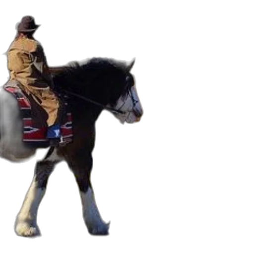 animal, concept art, photorealistic, person, rides, horse, down, street transparent PNG cut-out