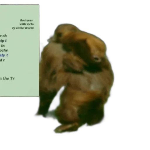 animal, creature, concept art, forest, earth tones, brown, bear, seen transparent PNG cut-out