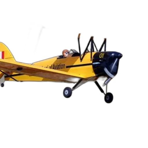 animal, car, 3d render, photorealistic, concept art, yellow, biplane, word transparent PNG cut-out
