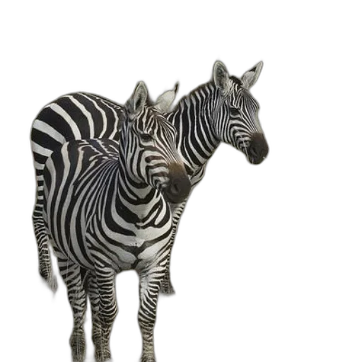 animal, creature, jewelry, furniture, 3d render, photorealistic, concept art, fantasy art transparent PNG cut-out