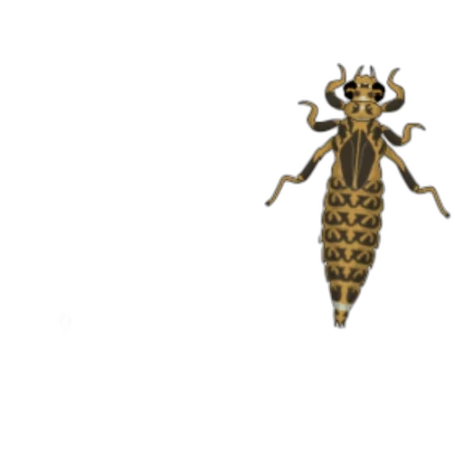 animal, creature, crown, staff, pixel art, concept art, 3d render, golden transparent PNG cut-out