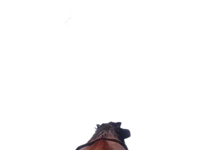 face, shoes, hat, mask transparent PNG cut-out