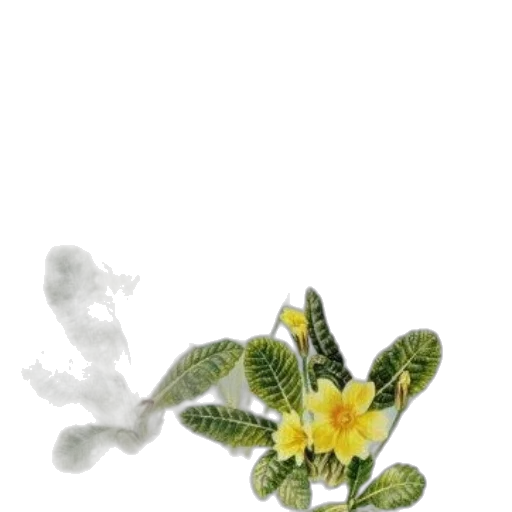 flower, crown, jewelry, staff, photorealistic, 3d render, concept art, oil painting transparent PNG cut-out