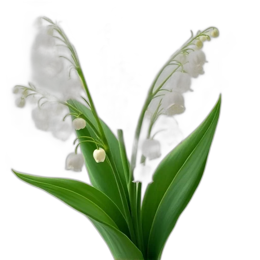 flower, crown, jewelry, staff transparent PNG cut-out