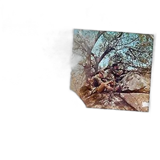 tree, sword, weapon, dragon, concept art, photorealistic, forest, fog transparent PNG cut-out