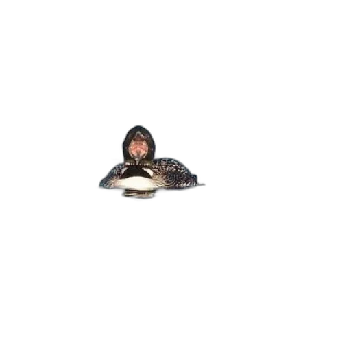 animal, hat, jacket, creature, 3d render, photorealistic, pixel art, concept art transparent PNG cut-out