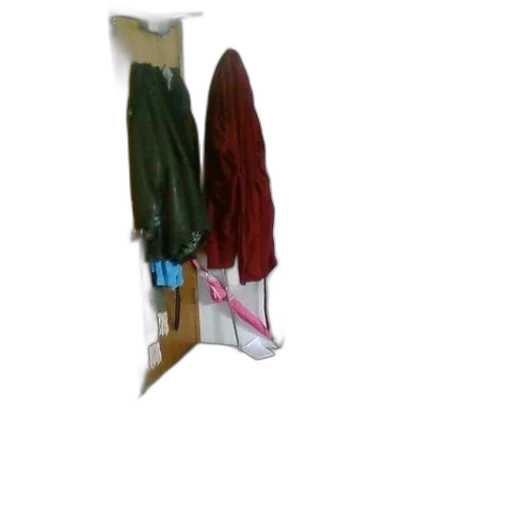 jacket, shoes, staff, dress, 3d render, concept art, oil painting, photorealistic transparent PNG cut-out