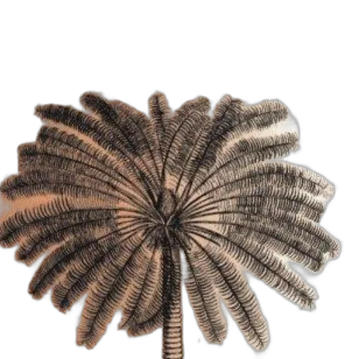 hair, crown, jewelry, staff, 3d render, photorealistic, earth tones, image transparent PNG cut-out