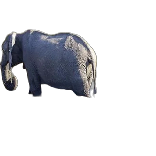 animal, creature, weapon, staff, 3d render, photorealistic, concept art, pixel art transparent PNG cut-out