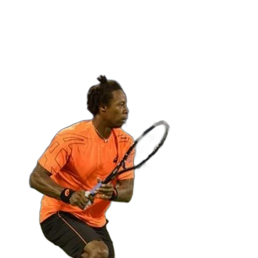 staff, weapon, hair, animal, 3d render, concept art, photorealistic, tennis transparent PNG cut-out