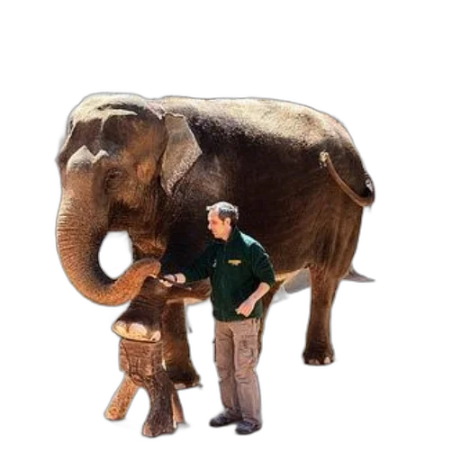 animal, staff, creature, concept art, 3d render, zookeeper, green, shirt transparent PNG cut-out