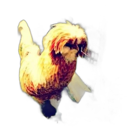 animal, dragon, creature, mask, watercolor, photorealistic, concept art, 3d render transparent PNG cut-out
