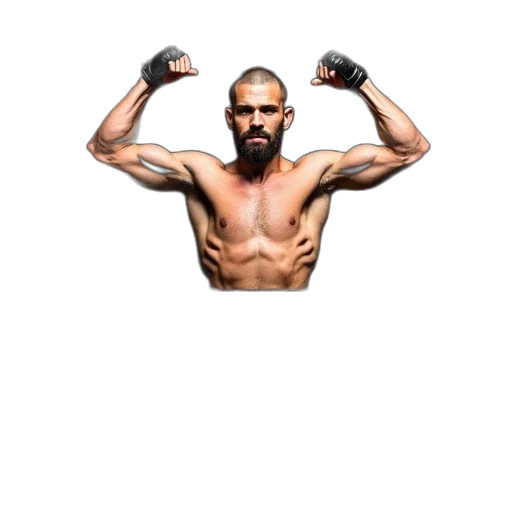 photorealistic, ufc, fanatics, plaque transparent PNG cut-out