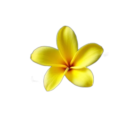 flower, jewelry, crown, staff, 3d render, photorealistic, oil painting, pixel art transparent PNG cut-out