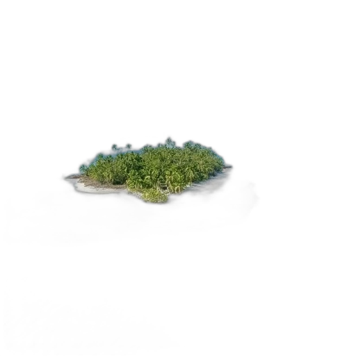 tree, crown, jewelry, hat, 3d render, photorealistic, concept art, forest transparent PNG cut-out