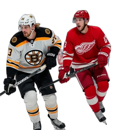 boston, bruins, red, wings transparent PNG cut-out