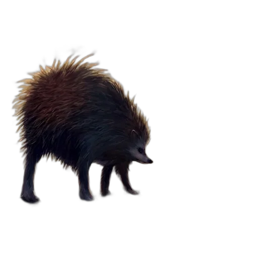 animal, creature, hair, dragon, concept art, 3d render, photorealistic, fantasy art transparent PNG cut-out