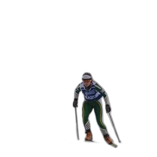robot, staff, jacket, animal, pixel art, 3d render, concept art, photorealistic transparent PNG cut-out