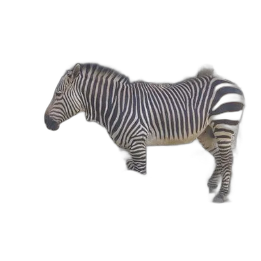 animal, creature, furniture, robot, 3d render, concept art, photorealistic, watercolor transparent PNG cut-out