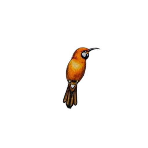 animal, staff, pixel art, concept art, watercolor, 3d render, birds, leisure transparent PNG cut-out