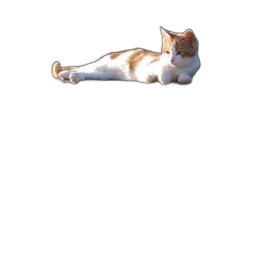 staff, animal, creature, shoes, pixel art, concept art, photorealistic, 3d render transparent PNG cut-out